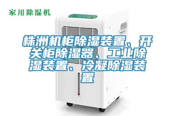 株洲機(jī)柜除濕裝置、開關(guān)柜除濕器、工業(yè)除濕裝置、冷凝除濕裝置