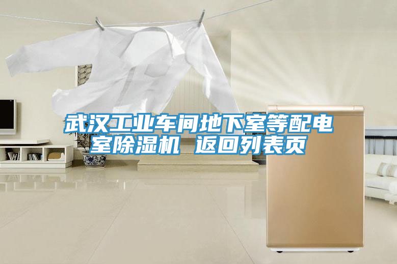 武漢工業(yè)車間地下室等配電室除濕機(jī) 返回列表頁