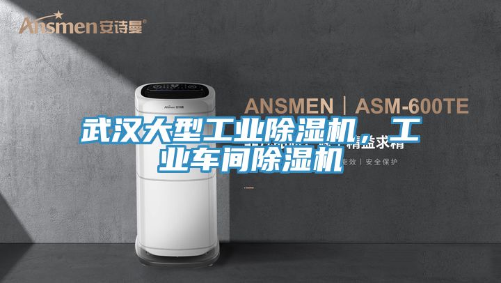 武漢大型工業(yè)除濕機，工業(yè)車間除濕機