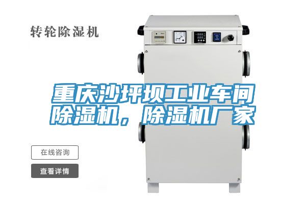 重慶沙坪壩工業(yè)車間除濕機，除濕機廠家