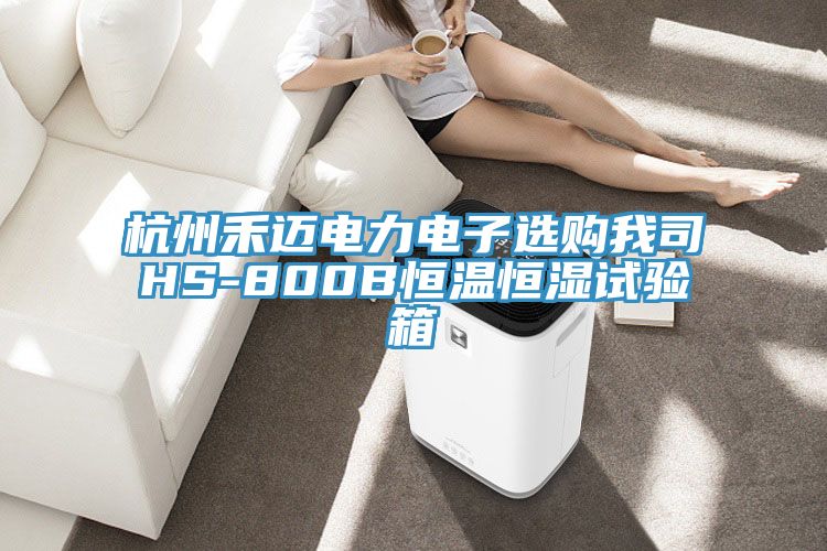 杭州禾邁電力電子選購(gòu)我司HS-800B恒溫恒濕試驗(yàn)箱