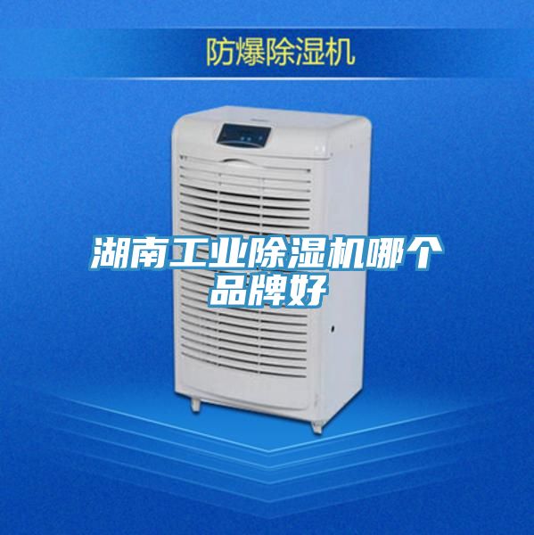 湖南工業(yè)除濕機(jī)哪個(gè)品牌好
