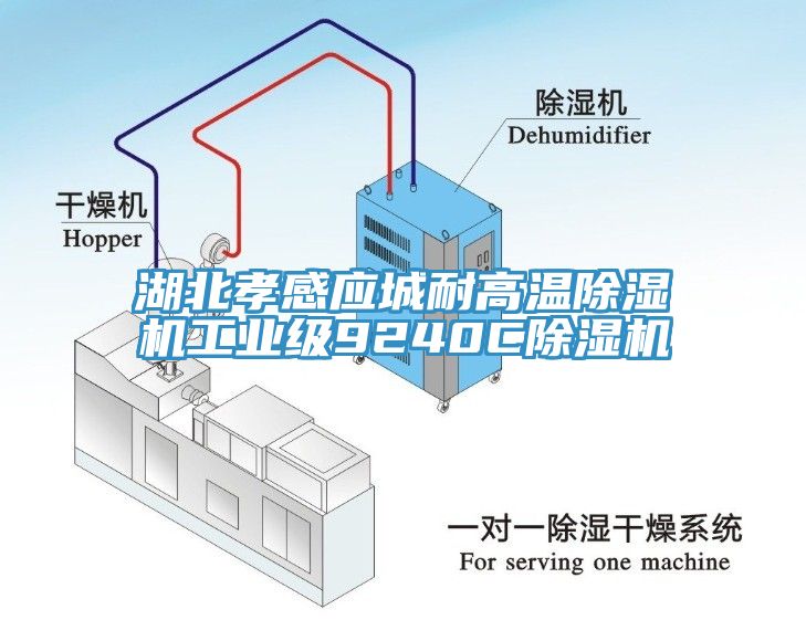 湖北孝感應(yīng)城耐高溫除濕機(jī)工業(yè)級(jí)9240C除濕機(jī)