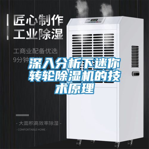 深入分析下迷你轉(zhuǎn)輪除濕機(jī)的技術(shù)原理
