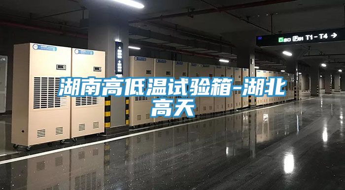 湖南高低溫試驗(yàn)箱-湖北高天