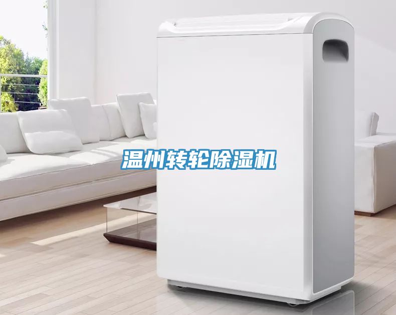 溫州轉(zhuǎn)輪除濕機