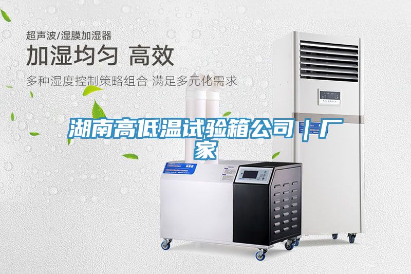 湖南高低溫試驗(yàn)箱公司｜廠家