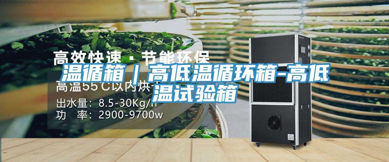 溫循箱｜高低溫循環(huán)箱-高低溫試驗(yàn)箱