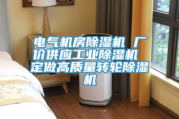 電氣機房除濕機 廠價供應工業(yè)除濕機 定做高質(zhì)量轉(zhuǎn)輪除濕機