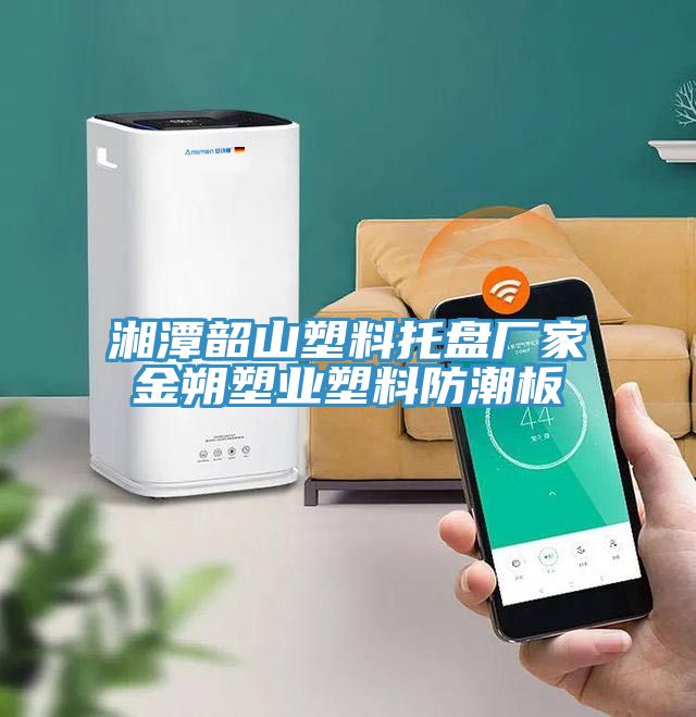 湘潭韶山塑料托盤廠家金朔塑業(yè)塑料防潮板