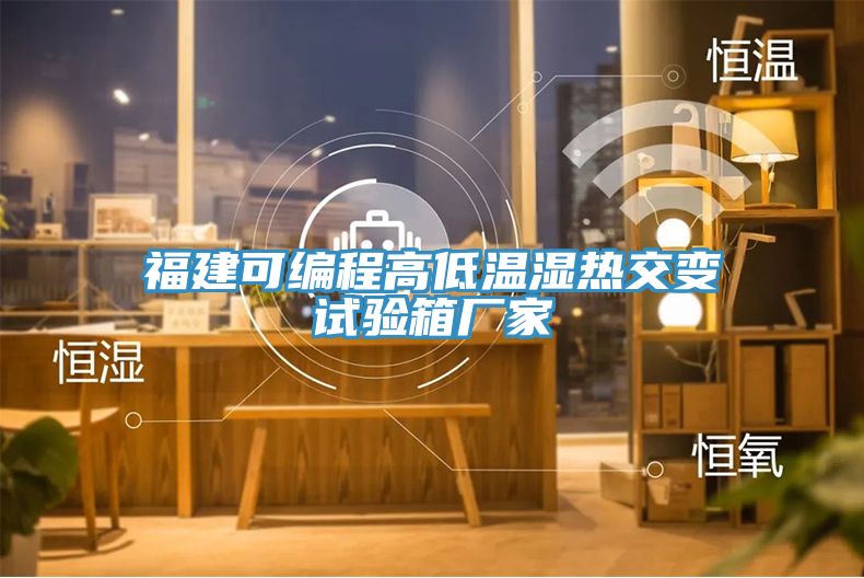 福建可編程高低溫濕熱交變試驗(yàn)箱廠家