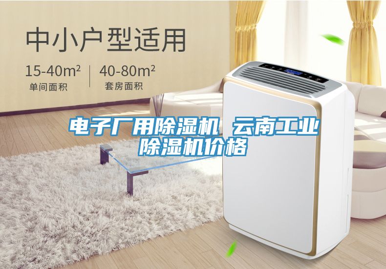 電子廠用除濕機 云南工業(yè)除濕機價格