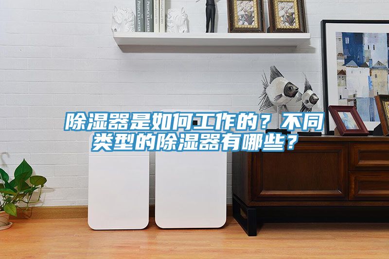 除濕器是如何工作的？不同類型的除濕器有哪些？