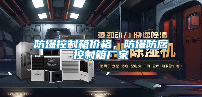 防爆控制箱價格，防爆防腐控制箱廠家