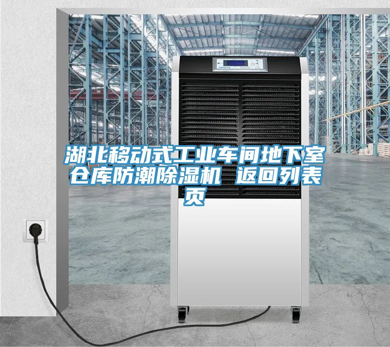 湖北移動(dòng)式工業(yè)車(chē)間地下室倉(cāng)庫(kù)防潮除濕機(jī) 返回列表頁(yè)