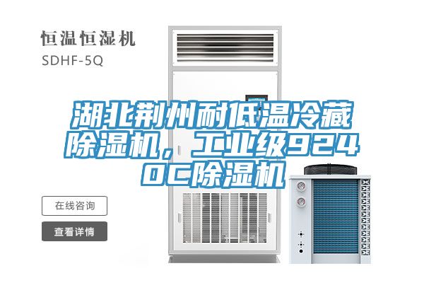 湖北荊州耐低溫冷藏除濕機(jī)，工業(yè)級(jí)9240C除濕機(jī)