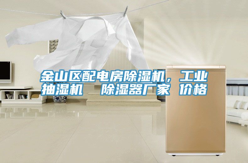 金山區(qū)配電房除濕機(jī)，工業(yè)抽濕機(jī)  除濕器廠家 價(jià)格
