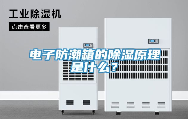 電子防潮箱的除濕原理是什么？