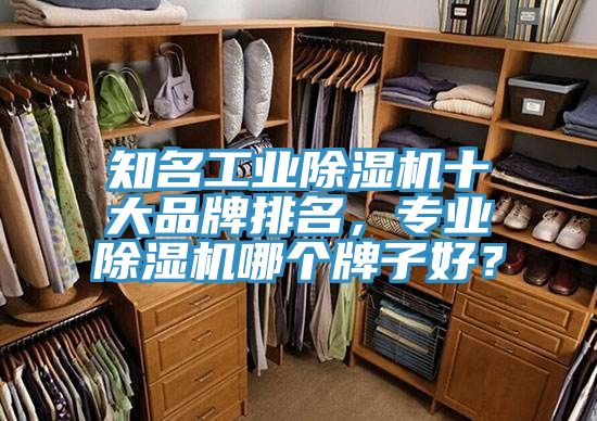 知名工業(yè)除濕機(jī)十大品牌排名，專業(yè)除濕機(jī)哪個(gè)牌子好？