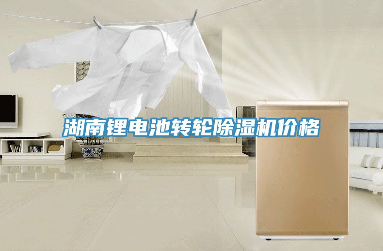 湖南鋰電池轉(zhuǎn)輪除濕機(jī)價(jià)格