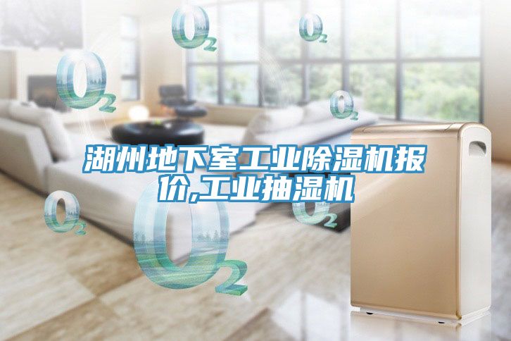 湖州地下室工業(yè)除濕機(jī)報(bào)價,工業(yè)抽濕機(jī)