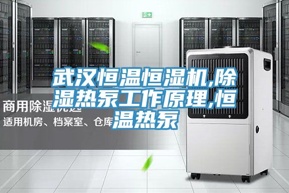 武漢恒溫恒濕機(jī),除濕熱泵工作原理,恒溫?zé)岜?/></p>
                            <p style=