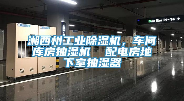 湘西州工業(yè)除濕機(jī)，車間庫房抽濕機(jī)  配電房地下室抽濕器