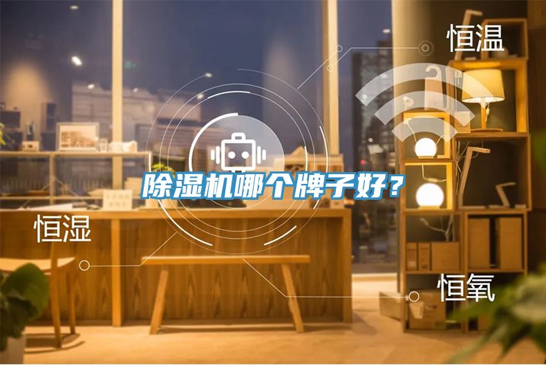 除濕機哪個牌子好？