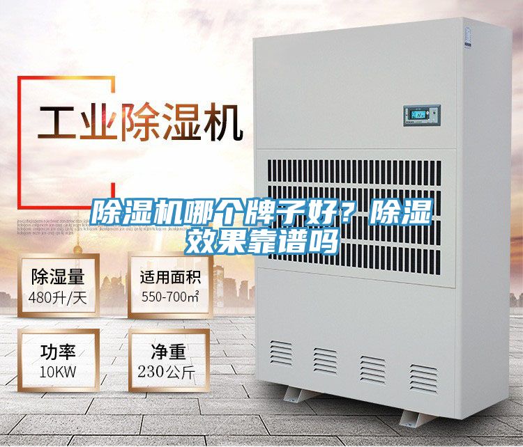 除濕機(jī)哪個(gè)牌子好？除濕效果靠譜嗎