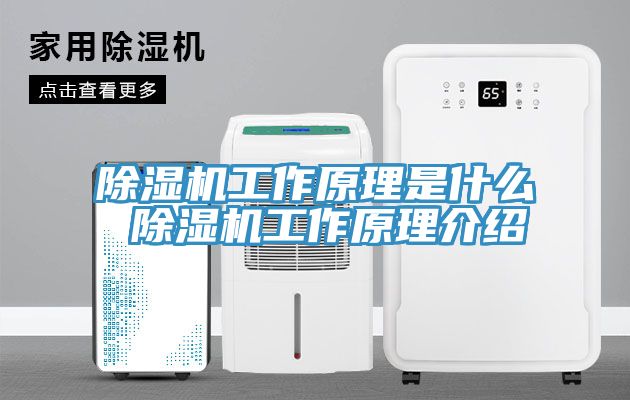 除濕機(jī)工作原理是什么 除濕機(jī)工作原理介紹