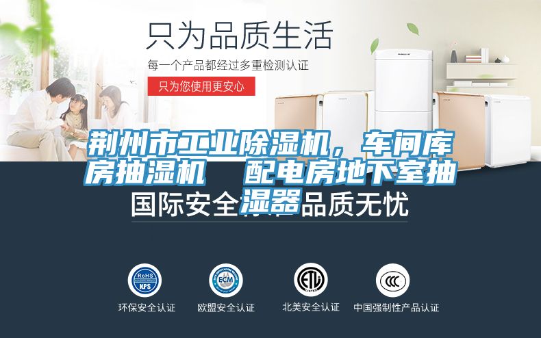 荊州市工業(yè)除濕機，車間庫房抽濕機  配電房地下室抽濕器