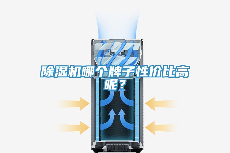 除濕機(jī)哪個(gè)牌子性價(jià)比高呢？