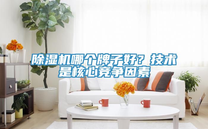 除濕機哪個牌子好？技術是核心競爭因素