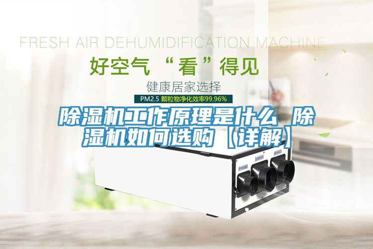 除濕機(jī)工作原理是什么 除濕機(jī)如何選購【詳解】