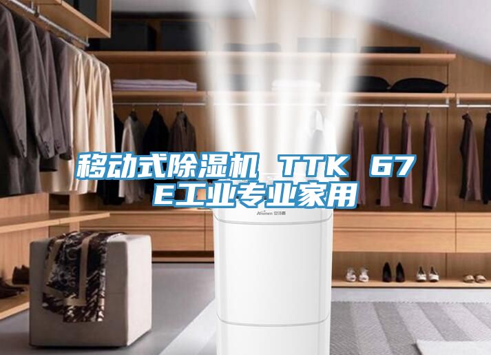 移動(dòng)式除濕機(jī) TTK 67 E工業(yè)專業(yè)家用