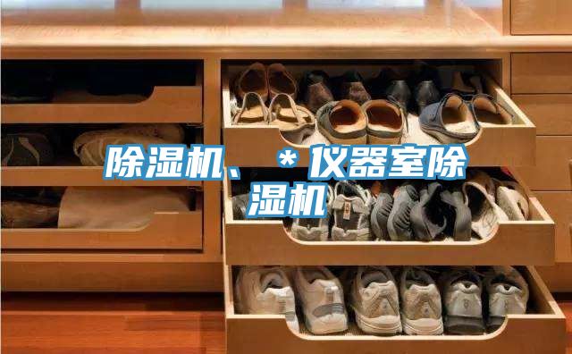 除濕機、＊儀器室除濕機