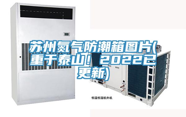 蘇州氮?dú)夥莱毕鋱D片(重于泰山！2022已更新)