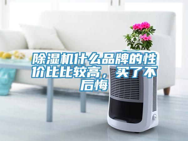除濕機(jī)什么品牌的性?xún)r(jià)比比較高，買(mǎi)了不后悔