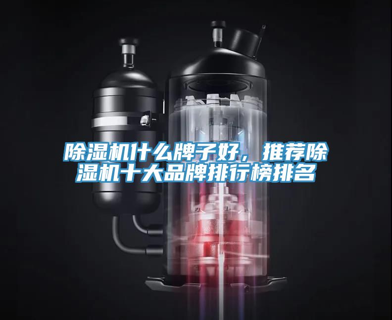 除濕機(jī)什么牌子好，推薦除濕機(jī)十大品牌排行榜排名