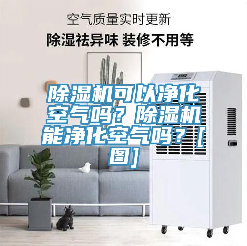 除濕機(jī)可以凈化空氣嗎？除濕機(jī)能凈化空氣嗎？[圖]