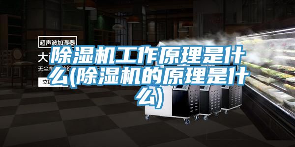 除濕機(jī)工作原理是什么(除濕機(jī)的原理是什么)
