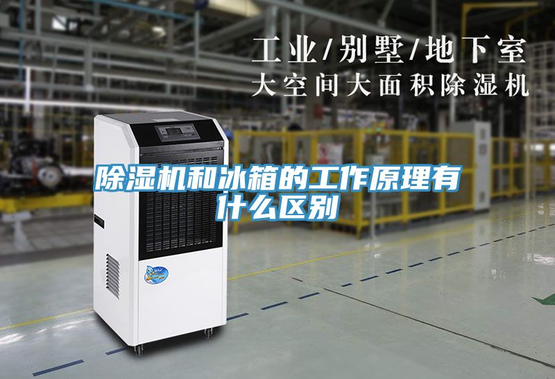 除濕機和冰箱的工作原理有什么區(qū)別
