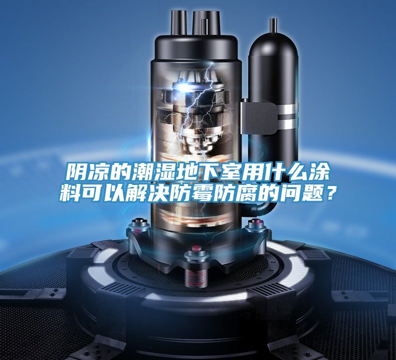 陰涼的潮濕地下室用什么涂料可以解決防霉防腐的問(wèn)題？