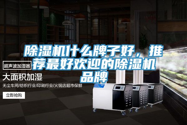 除濕機(jī)什么牌子好，推薦最好歡迎的除濕機(jī)品牌