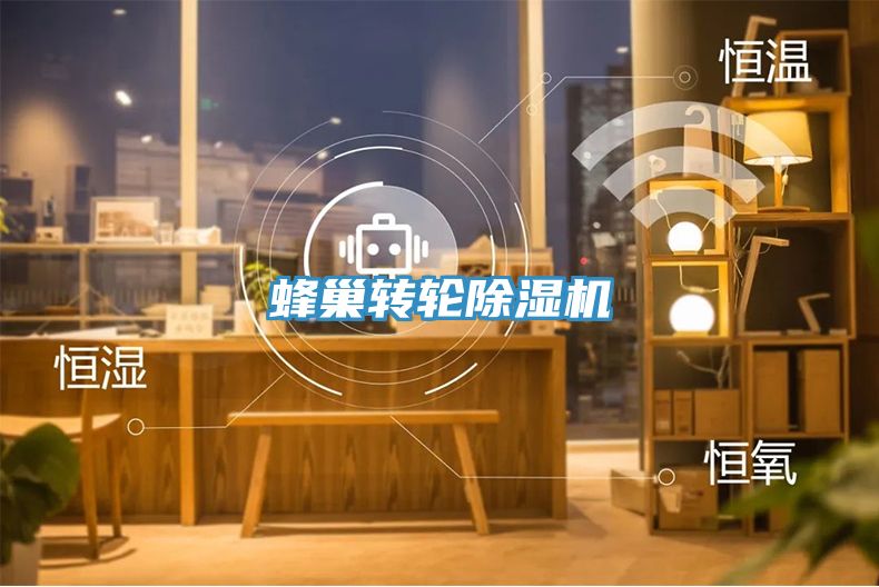 蜂巢轉(zhuǎn)輪除濕機