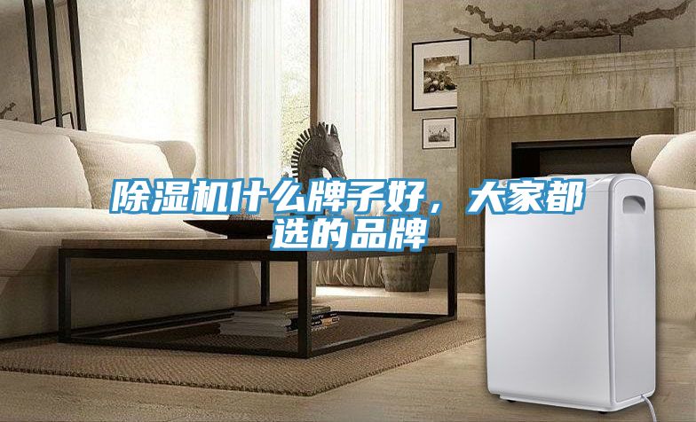 除濕機(jī)什么牌子好，大家都選的品牌