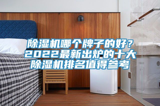 除濕機(jī)哪個(gè)牌子的好？2022最新出爐的十大除濕機(jī)排名值得參考