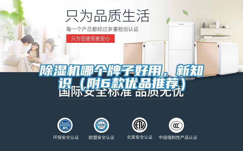 除濕機(jī)哪個(gè)牌子好用，新知識(shí)（附6款優(yōu)品推薦）