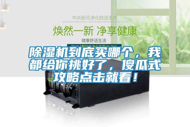 除濕機到底買哪個，我都給你挑好了，傻瓜式攻略點擊就看！