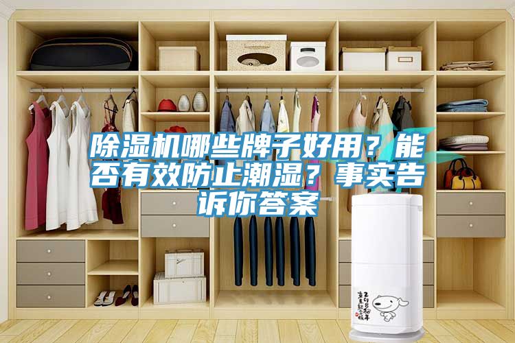 除濕機(jī)哪些牌子好用？能否有效防止潮濕？事實(shí)告訴你答案